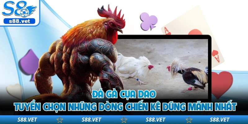 Đá Gà Cựa Dao S8 - Top 1 Đấu Trường Nảy Lửa Hấp Dẫn 2 Đá gà cựa dao tuyển chọn những dòng chiến kê dũng mãnh nhất