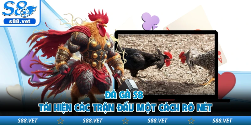 Đá gà S8 tái hiện các trận đấu một cách rõ nét