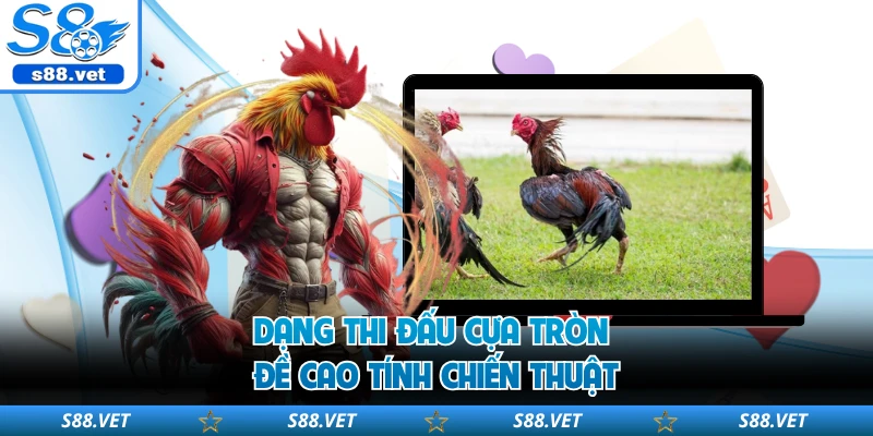 Dạng thi đấu cựa tròn đề cao tính chiến thuật