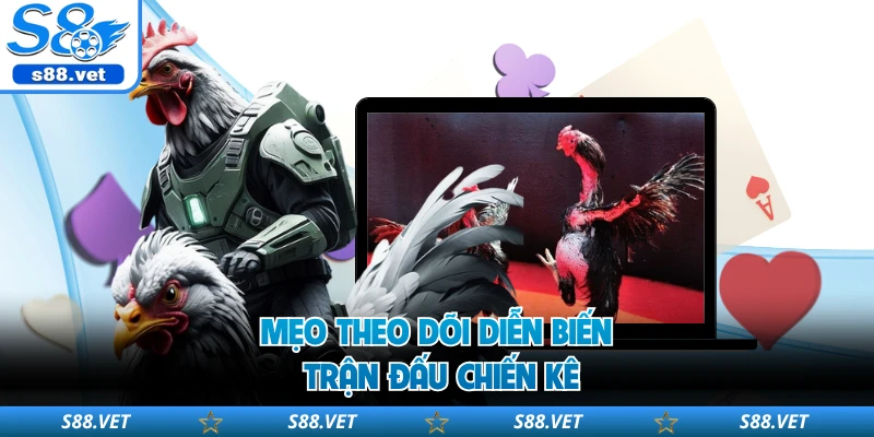 Mẹo theo dõi diễn biến trận đấu chiến kê 