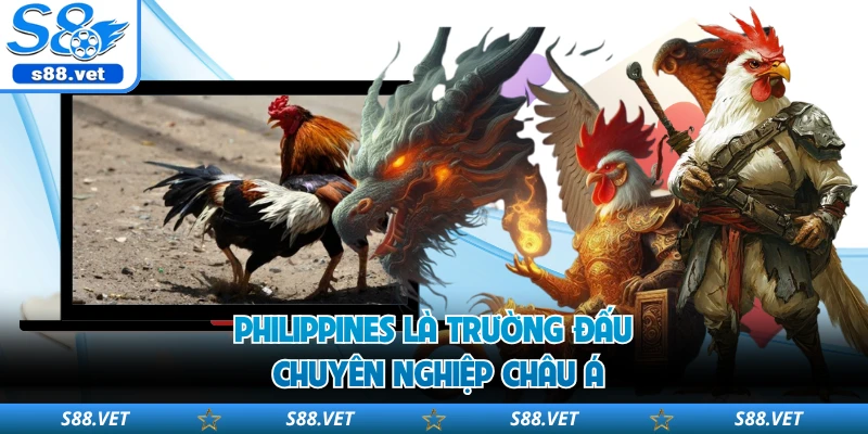 Philippines là trường đấu chuyên nghiệp châu Á